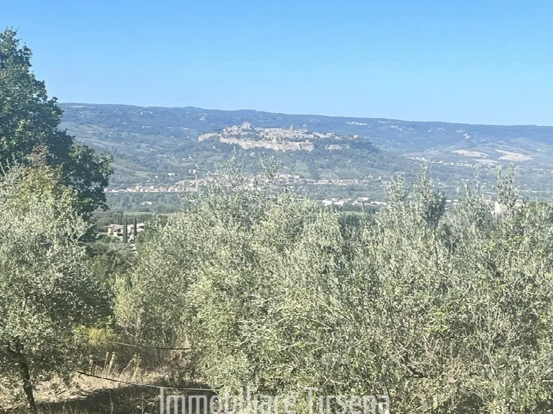 Rustico/Casale in vendita a Orvieto - foto 1
