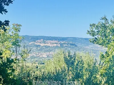 Rustico/Casale in vendita a Orvieto - foto 6