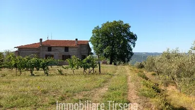 Rustico/Casale in vendita a Orvieto - foto 8