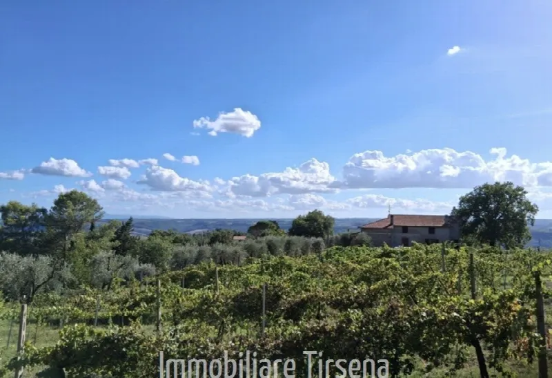 Rustico/Casale in vendita a Orvieto - foto 9