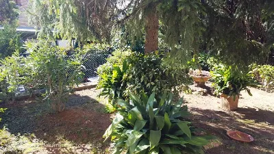 Appartamento in vendita a Siena, Scacciape... - foto 3