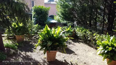 Appartamento in vendita a Siena, Scacciape... - foto 5