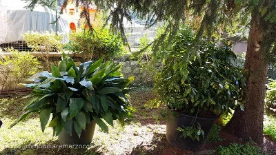 Appartamento in vendita a Siena, Scacciape... - foto 6
