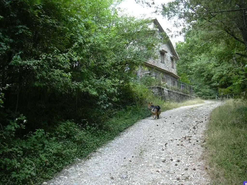 Rustico/Casale in vendita a Piancastagnaio - foto 2
