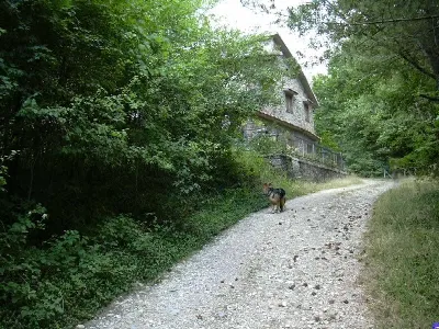 Rustico/Casale in vendita a Piancastagnaio - foto 2
