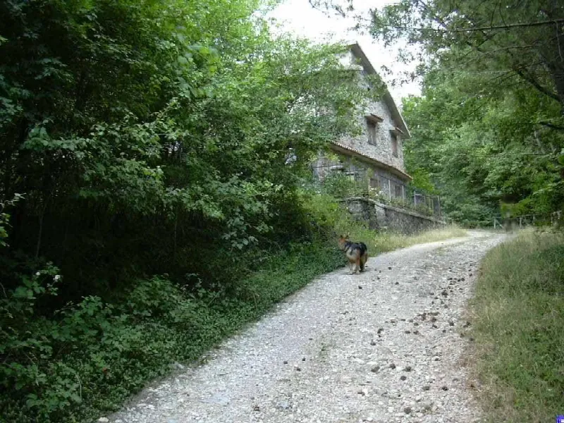 Rustico/Casale in vendita a Piancastagnaio - foto 2