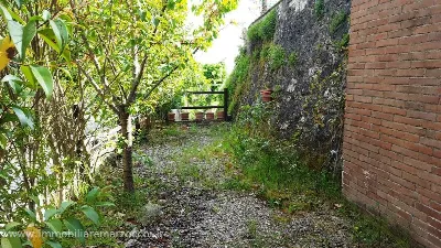 Rustico/Casale in vendita a Sovicille - foto 3