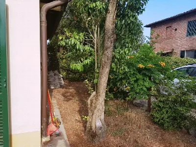 Rustico/Casale in vendita a Siena, Fuori p... - foto 9