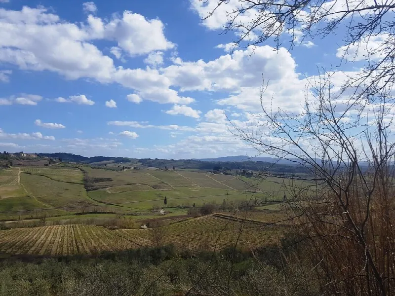 Rustico/Casale in vendita a Poggibonsi - foto 1