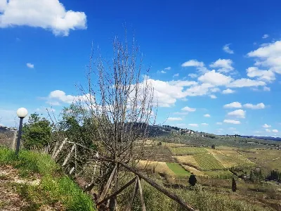 Rustico/Casale in vendita a Poggibonsi - foto 2