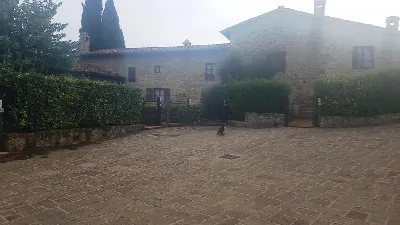 Rustico/Casale a Casole d'Elsa