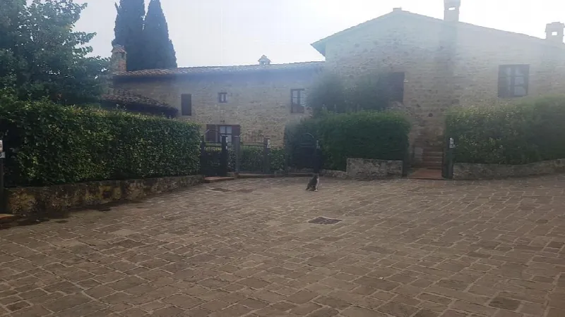 Rustico/Casale in vendita a Casole d'Elsa - foto 1