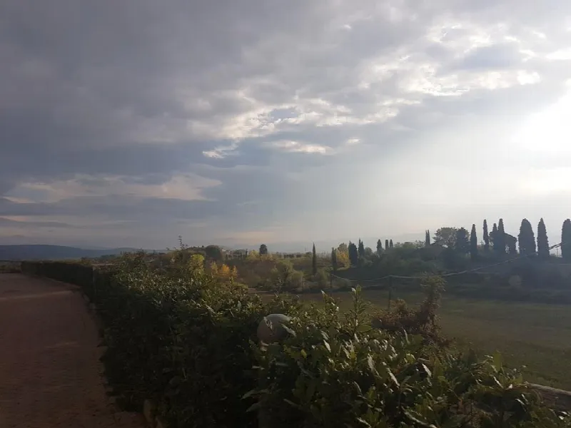 Appartamento in vendita a Sovicille - foto 1
