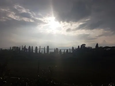 Appartamento in vendita a Sovicille - foto 2