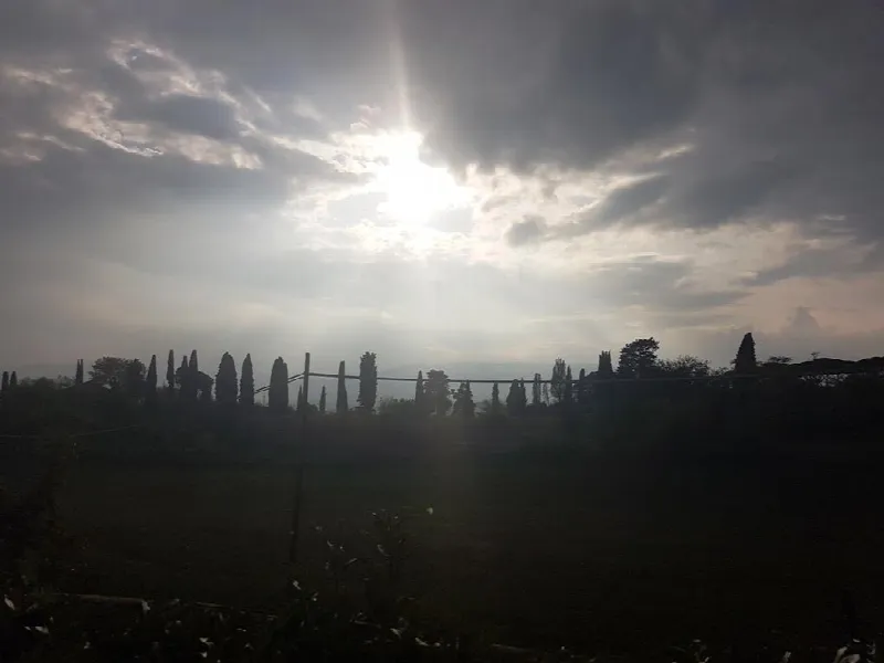 Appartamento in vendita a Sovicille - foto 2