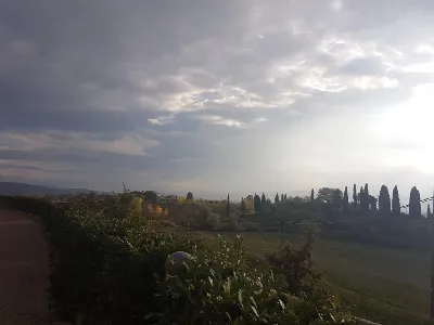 Appartamento in vendita a Sovicille - foto 3