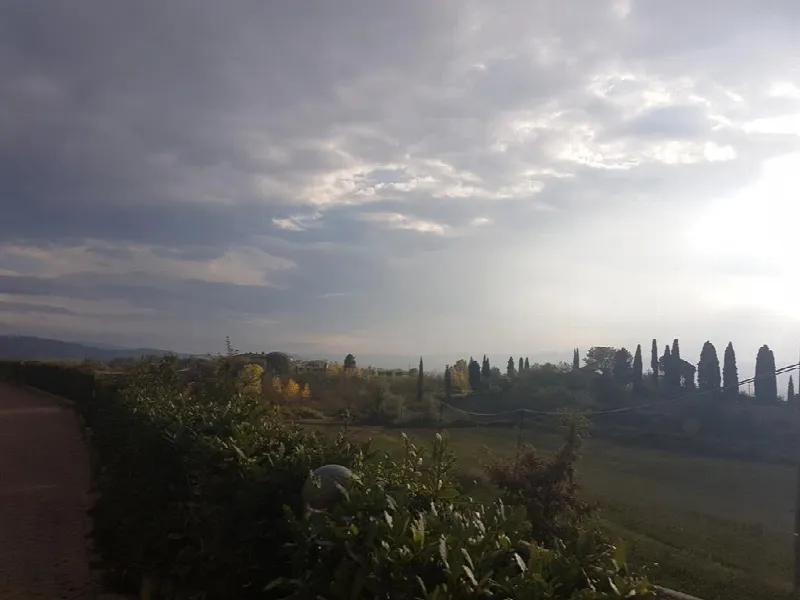 Appartamento in vendita a Sovicille - foto 3