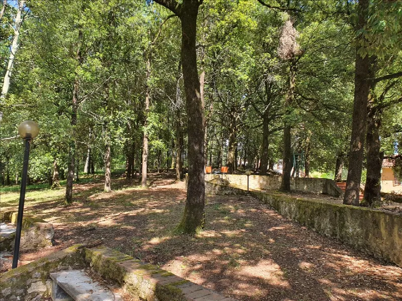 Villa in vendita a Sovicille - foto 4