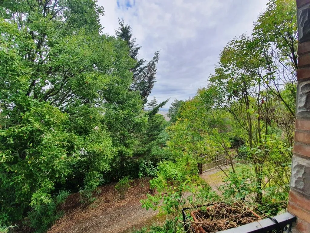 Villa in vendita a Murlo - foto 5