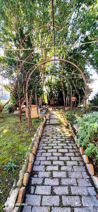 Appartamento in vendita a Asciano - foto 10