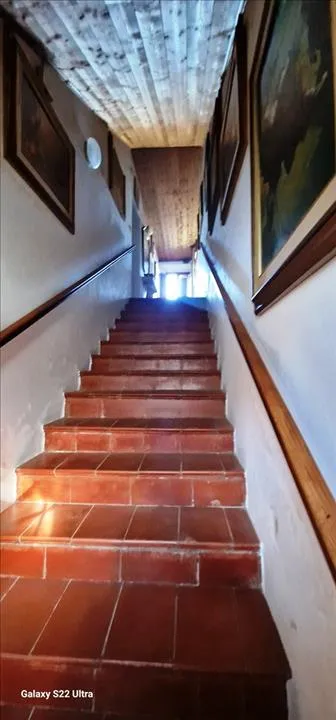 Appartamento in vendita a Asciano - foto 4