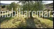 Rustico/Casale in vendita a Cinigiano - foto 3