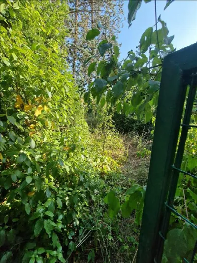 Appartamento in vendita a Castellina in Ch... - foto 10