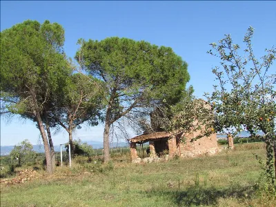 Rustico/Casale in vendita a Castiglione de... - foto 10