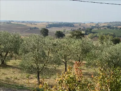 Casa Indipendente in vendita a Castiglione... - foto 4
