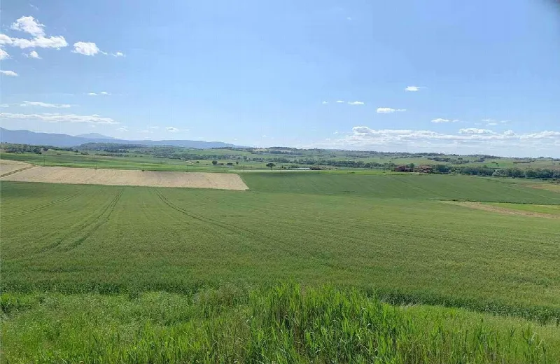 Rustico/Casale in vendita a Paciano - foto 3