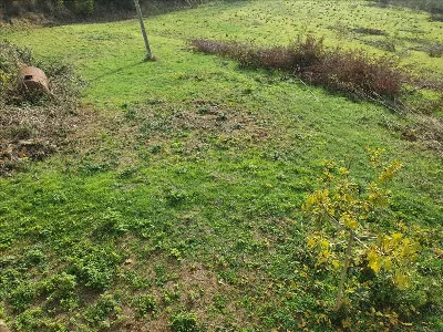 Rustico/Casale in vendita a Città della Pi... - foto 6