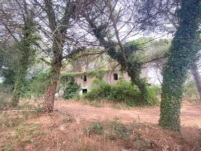 Rustico/Casale in vendita a Castiglione de... - foto 2