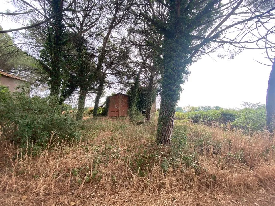 Rustico/Casale in vendita a Castiglione del Lago - foto 4