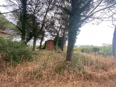 Rustico/Casale in vendita a Castiglione de... - foto 4