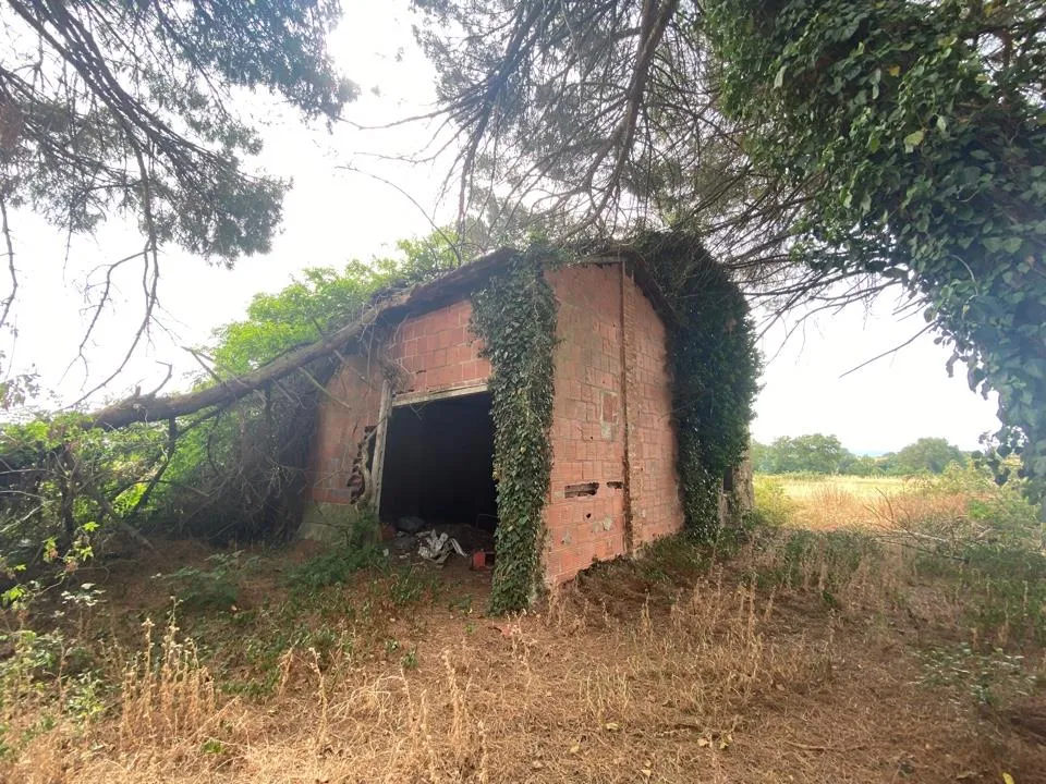 Rustico/Casale in vendita a Castiglione del Lago - foto 5
