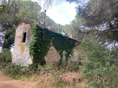 Rustico/Casale in vendita a Castiglione de... - foto 6