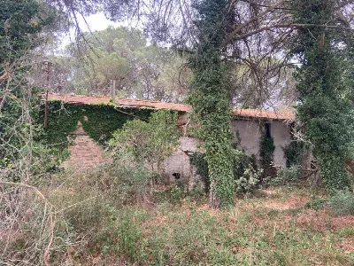 Rustico/Casale in vendita a Castiglione de... - foto 7