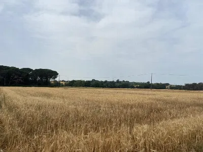 Rustico/Casale in vendita a Castiglione de... - foto 8