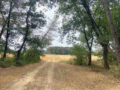 Rustico/Casale in vendita a Castiglione de... - foto 9