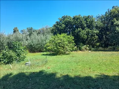 Casa Indipendente in vendita a Castiglione... - foto 10