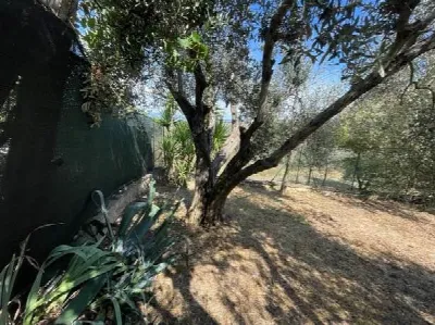 Casa Indipendente in vendita a Castiglione... - foto 7