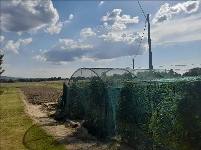 Appartamento in vendita a Panicale - foto 7