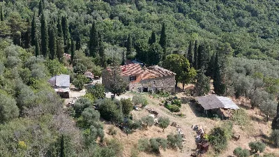 Rustico/Casale in vendita a Passignano sul... - foto 3