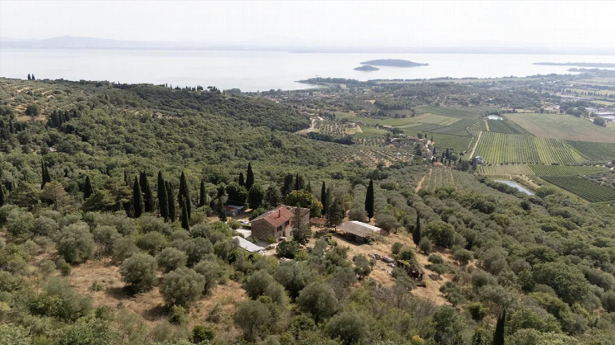 Rustico/Casale in vendita a Passignano sul Trasimeno - foto 4