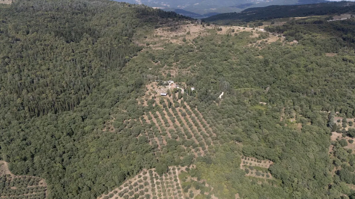 Rustico/Casale in vendita a Passignano sul Trasimeno - foto 5