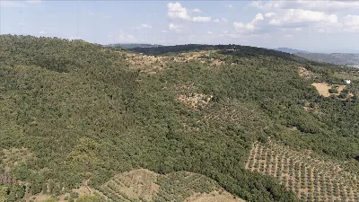 Rustico/Casale in vendita a Passignano sul... - foto 8