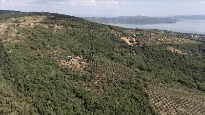 Rustico/Casale in vendita a Passignano sul... - foto 9