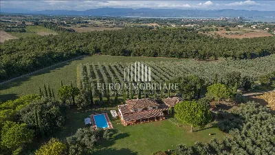 Rustico/Casale in vendita a Castiglione de... - foto 2