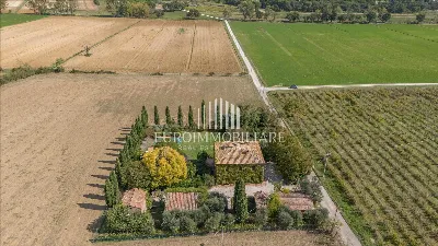 Rustico/Casale in vendita a Castiglione de... - foto 7