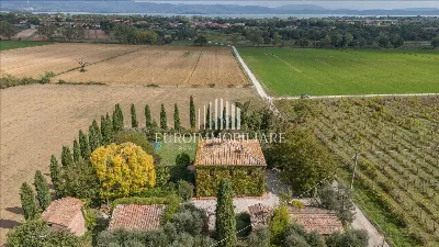 Rustico/Casale in vendita a Castiglione de... - foto 8